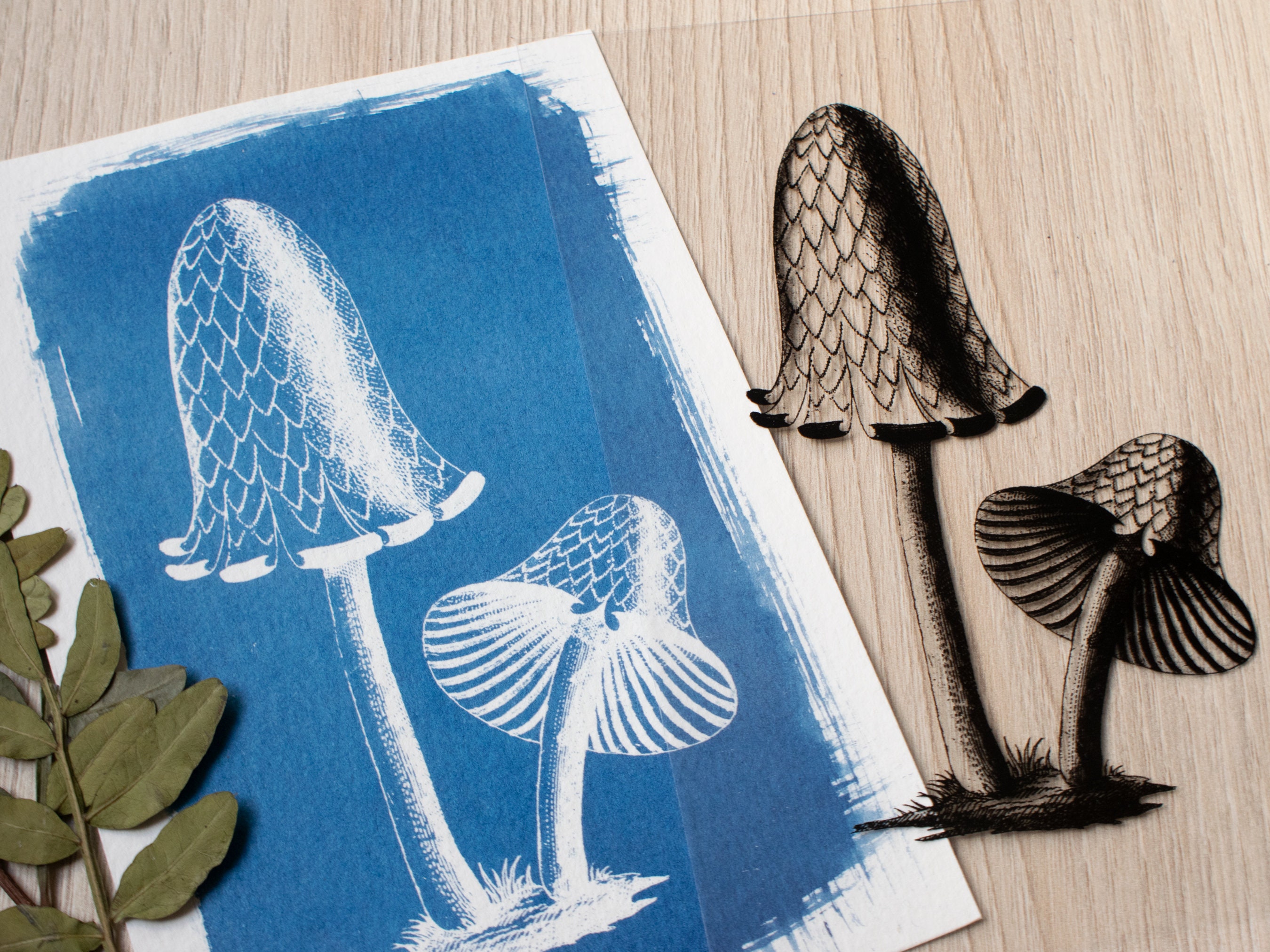 Cyanotype Kit, Diy Kit, Solar Printing Kit, Mushrooms Cyanotype