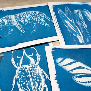 Stencil cianotipia, kit cianotipia solo stencil, fai da te, stampa cianotipia, kit fai da te, kit artigianale, kit stampa solare solo stencil
