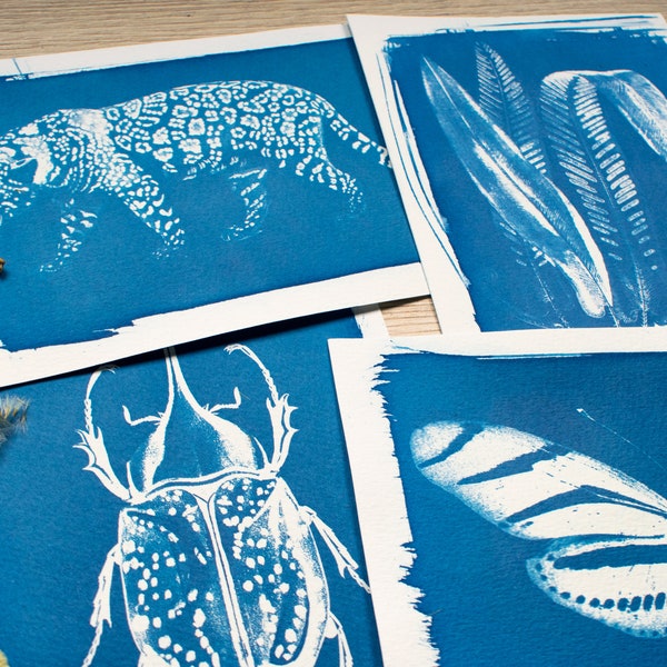 Cyanotype stencils, cyanotype kit just stencils, diy craft, cyanotype print, diy kit, craft kit, solar printing kit only stencils