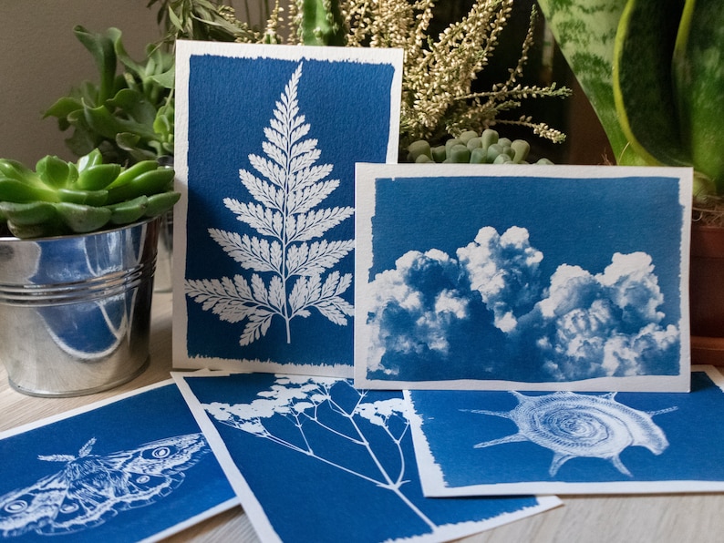 cyanotype prints made with a diy solar priting kit