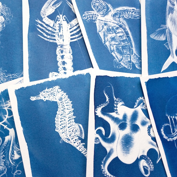 Pochoirs cyanotype, kit cyanotype juste des pochoirs, travaux de bricolage, impression cyanotype, kit de création, pochoirs d'animaux marins