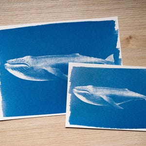 Cyanotype kit, craft kit for adults, solar printing kit, diy craft, diy cyanotype kit, diy kit, cyanotype print, craft kit, cyanotype art image 13