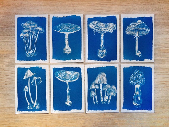 Cyanotype stencils, cyanotype kit just stencils, mushroom cyanotype stencils, cyanotype print, diy kit, craft kit