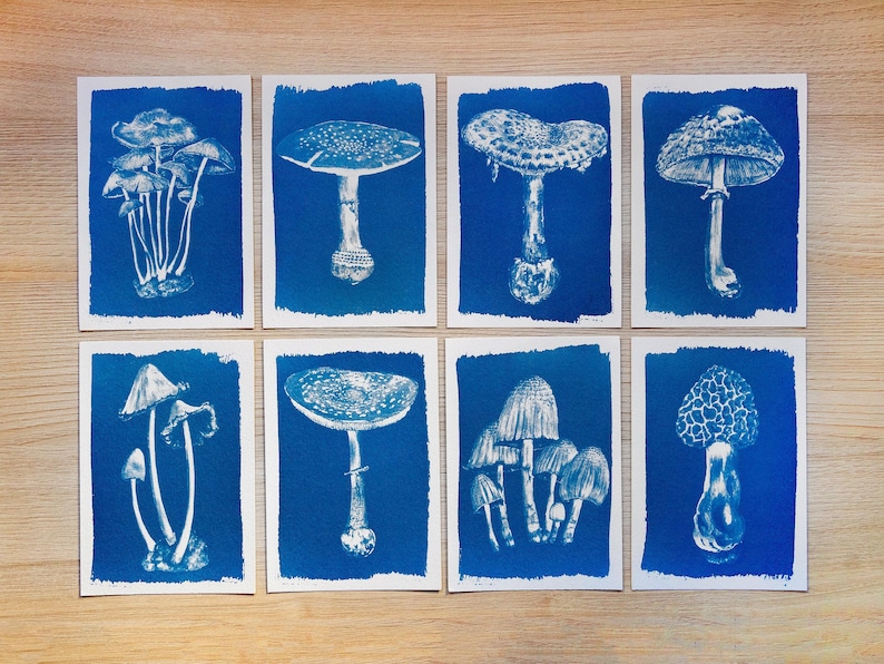 mushrooms cyanotype stencils