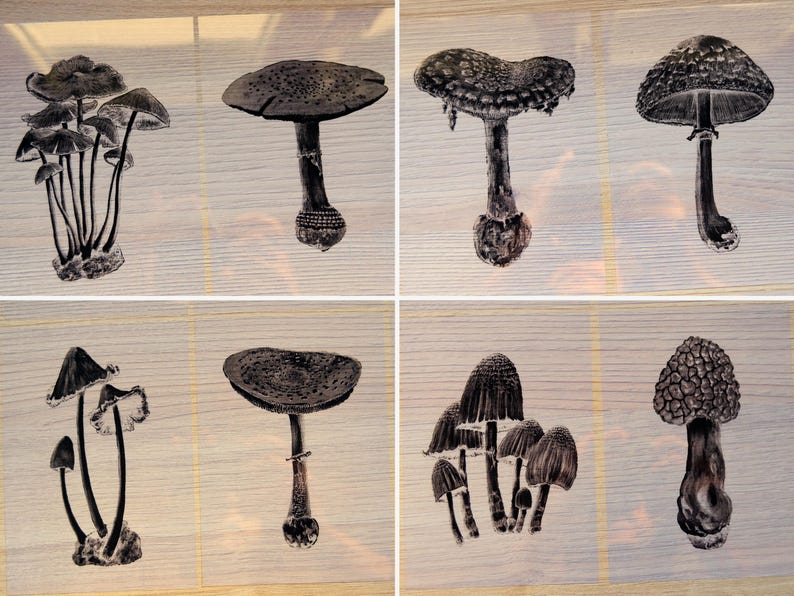 stencils for cyanotype