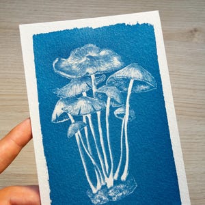 mushroom cyanotype art