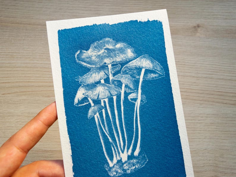 mushroom cyanotype art