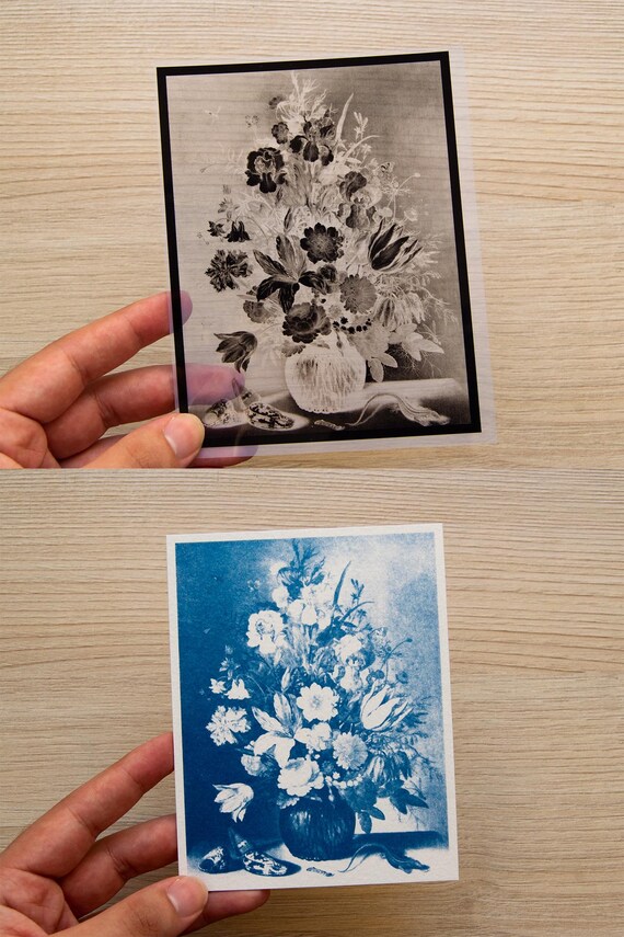 Floral Still Life Cyanotype Stencils | Vintage Botanical Sun Print