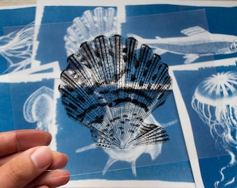 Cyanotype kit, cyanotype stencils, solar art, craft kit, diy craft, craft kit for adults, cyanotype print, diy kit, solar printing kit