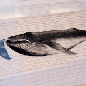 Cyanotype kit, craft kit for adults, solar printing kit, diy craft, diy cyanotype kit, diy kit, cyanotype print, craft kit, cyanotype art image 9