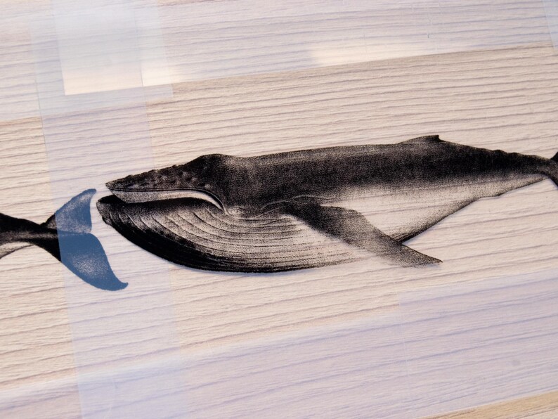 Cyanotype kit, craft kit for adults, solar printing kit, diy craft, diy cyanotype kit, diy kit, cyanotype print, craft kit, cyanotype art image 9