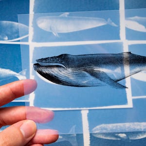 Cyanotype kit, craft kit for adults, solar printing kit, diy craft, diy cyanotype kit, diy kit, cyanotype print, craft kit, cyanotype art image 1