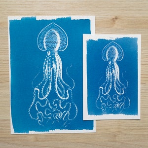 sea animals cyanotype prints