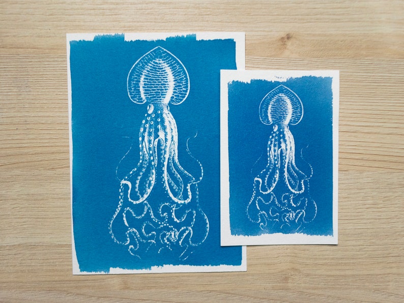 sea animals cyanotype prints