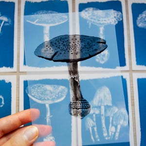 Kit cyanotype, kit de création manuelle pour adultes, pochoirs cyanotype, kit d'impression solaire, travaux de bricolage, kit cyanotype bricolage, kit bricolage, impression cyanotype