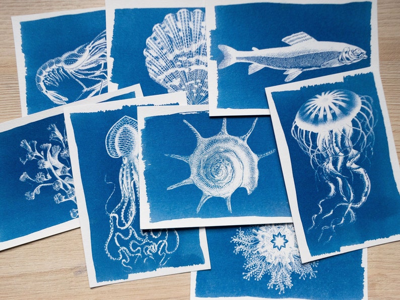 Cyanotype stencils, cyanotype kit just stencils, diy craft, cyanotype print, craft kit, sea animals stencils image 1