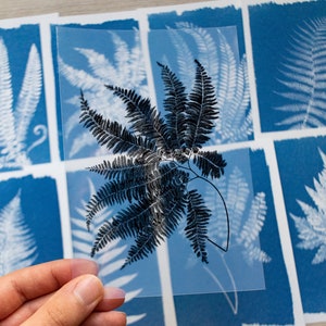 Cyanotype kit, cyanotype stencils, solar art, craft kit, diy craft, craft kit for adults, cyanotype print, diy kit, solar printing kit