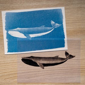 Cyanotype kit, craft kit for adults, solar printing kit, diy craft, diy cyanotype kit, diy kit, cyanotype print, craft kit, cyanotype art image 12