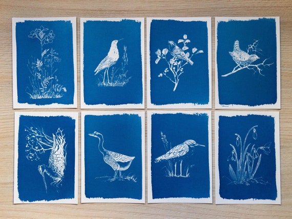 Bird & Botanical Cyanotype Stencils | Nature Sun Print Negatives | Cottagecore Art Gift