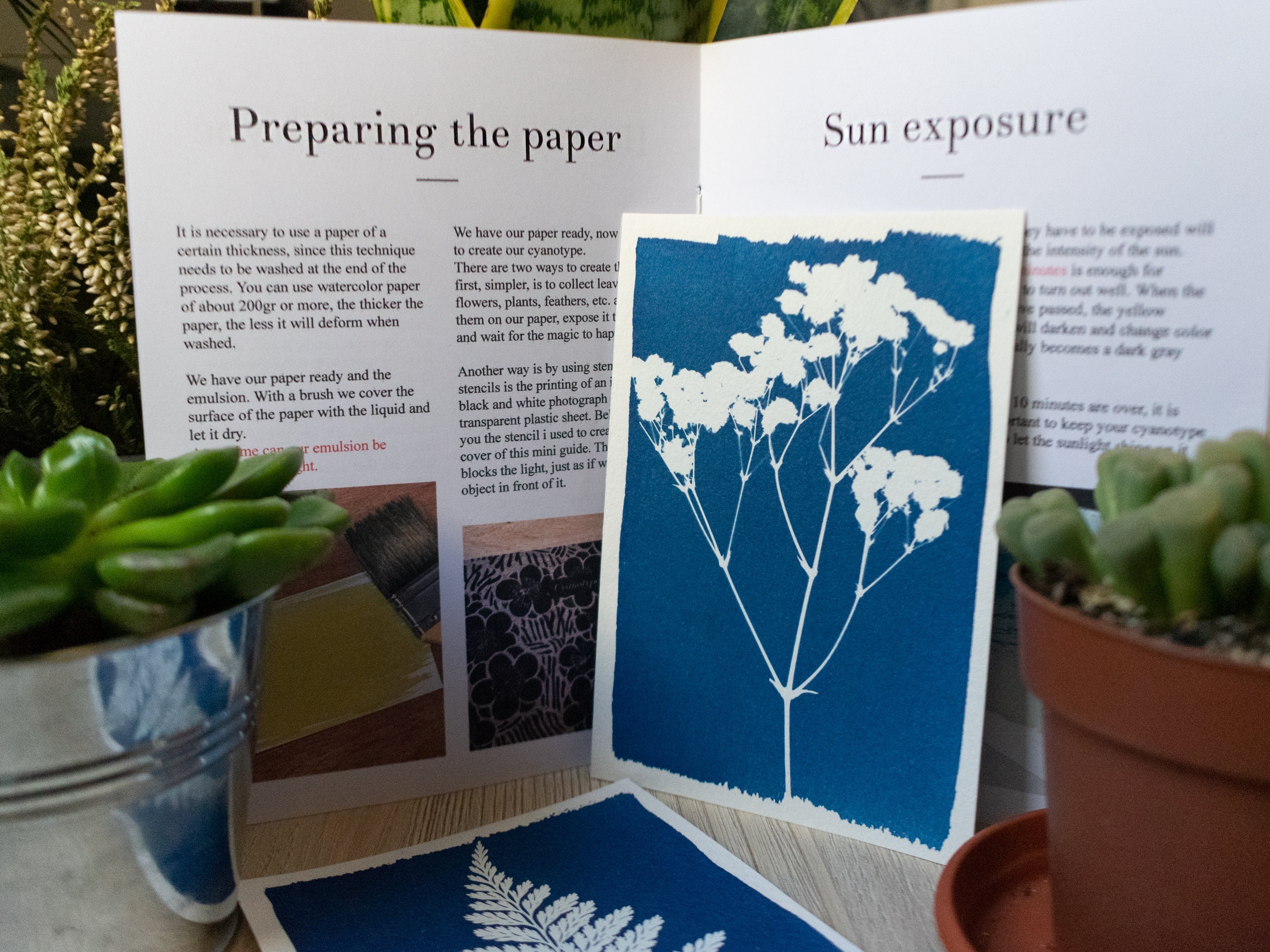 DIY Sun Print (Cyanotype) Kit - Postcards – Manine Montessori