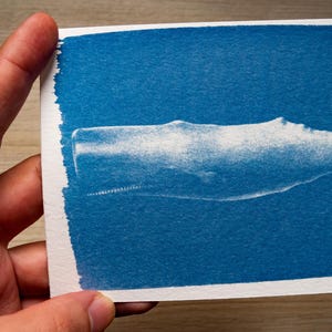 Cyanotype kit, craft kit for adults, solar printing kit, diy craft, diy cyanotype kit, diy kit, cyanotype print, craft kit, cyanotype art image 19