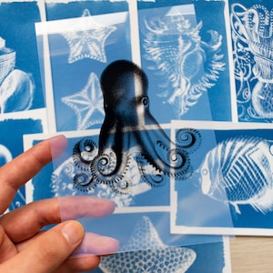 Kit cyanotype, pochoirs cyanotype, bricolage, kit de création manuelle pour adultes, impression cyanotype, kit de bricolage, kit d'impression solaire