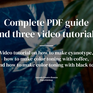 Cyanotype Step Chart.pdf Cyanotype Tutorial PDF | Beginner Sun Print Course With Videos ...
