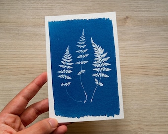 Stencil di cianotipia di felci / Negativi di stampa solare botanica / Arte naturalistica in stile Anna Atkins