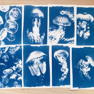 Stencil cianotipia, artigianato fai da te, kit cianotipia solo stencil, stampa cianotipia, kit artigianale, stencil meduse