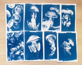 Cyanotype stencils, diy craft, cyanotype kit just stencils, cyanotype print, craft kit, jellyfish stencils