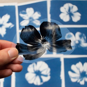 Kit cyanotype, kit de création manuelle pour adultes, pochoir cyanotype, kit d'impression solaire, travaux de bricolage, kit de bricolage cyanotype, kit de bricolage, impression cyanotype