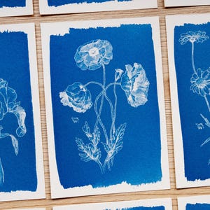 May include: A collection of botanical art prints featuring white line drawings of flowers on a deep blue background. The prints showcase various floral arrangements, including poppies, irises, and daisies, with a textured, torn edge.