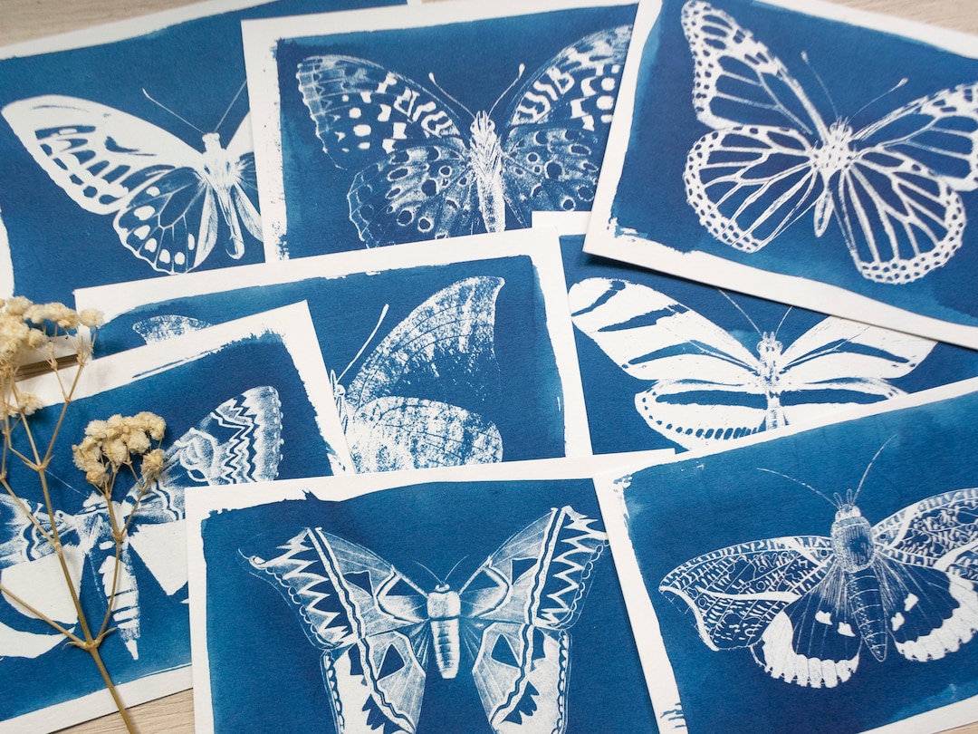 Stamps cyanotype kit - Paperfulshop