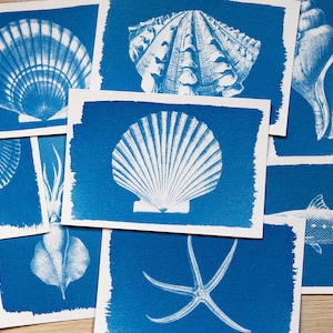 Może przedstawiać: Zestaw ośmiu cyjanowych kart z białymi obrazami różnych muszli, rozgwiazdy i ryby. Karty mają przetarty, fakturowany brzeg.