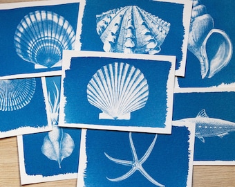 Cyanotype stencils, cyanotype kit just stencils, diy craft, cyanotype print, craft kit, sea animals stencils, cyanotype wall art