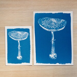 botanical cyanotype