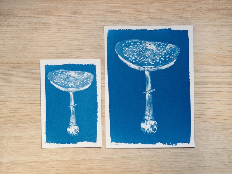 botanical cyanotype