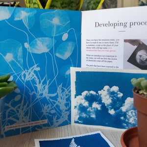 interior pages of a diy cyanotype kit