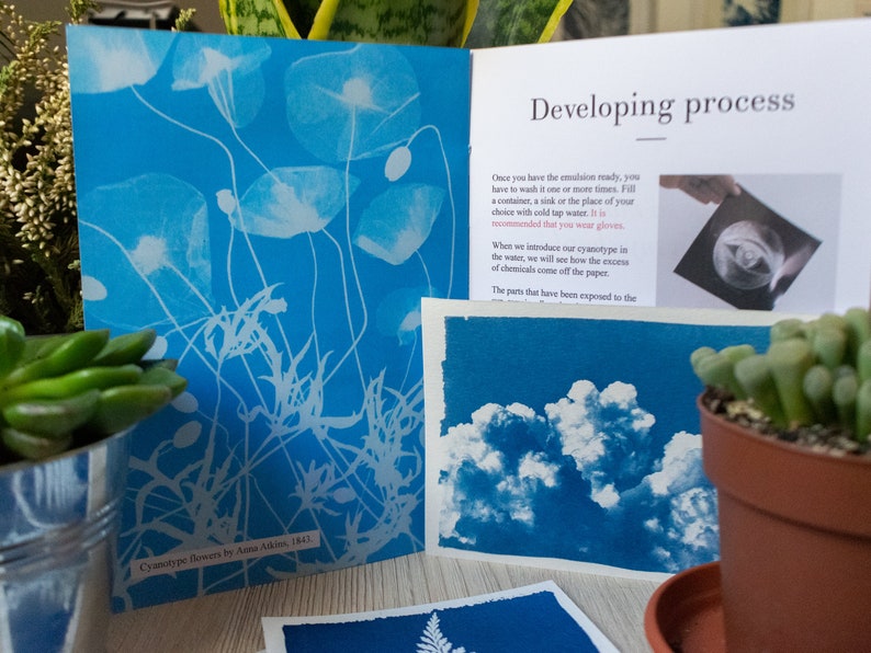 interior pages of a diy cyanotype kit