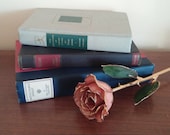 Set of Three Shades of Blue and Green Shelf Mantel Decor Decorative Books