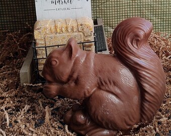 Chocolate Squirrel.