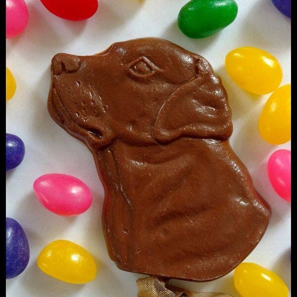 Chocolate "Lab" Pops. These chocolates are NOT for dogs! Do not order if the area you are shipping to exceeds 65 degrees.