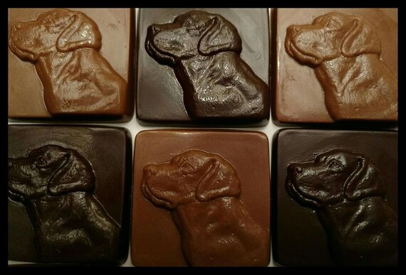 box of chocolate labs