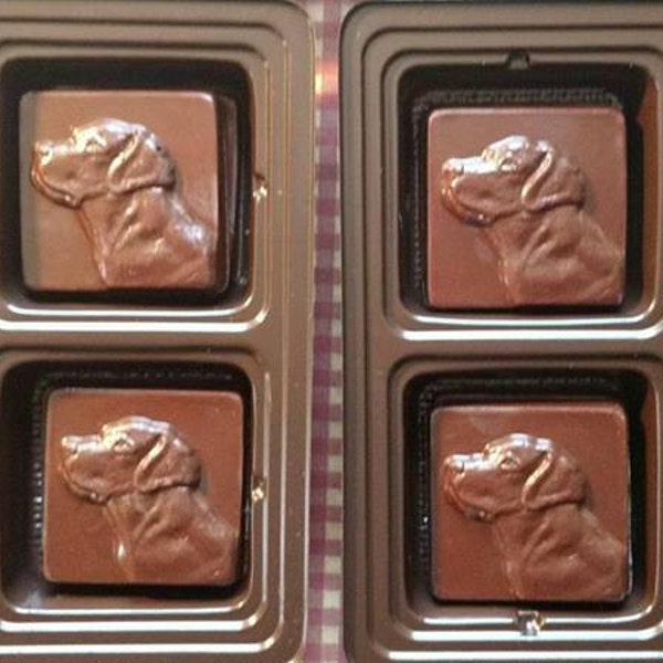 Chocolate Lab Etsy
