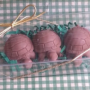 Pode incluir: Três doces de tartaruga de chocolate em uma caixa de plástico transparente com uma fita dourada. As tartarugas estão dispostas em fila e são cercadas por papel verde picado.