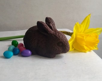 May include: A chocolate Easter bunny sits next to a bright yellow daffodil and a scattering of colorful jelly beans. The bunny is brown and has detailed fur texture. The scene is set on a white surface.