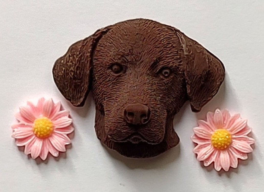 Chocolate for Dog Lovers. Our Chocolate lab Faces. Etsy