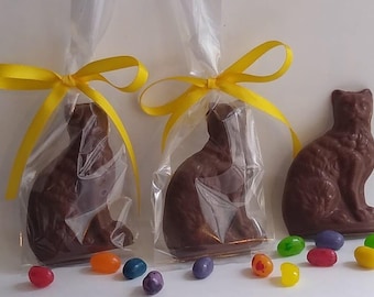 Symon el Gato: Golosina de Chocolate para los Amantes de los Gatos