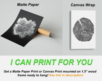 Prints for you