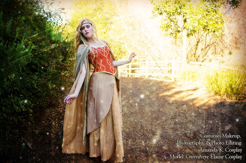 Renaissance Faire Fairy princess queen Gown costume Renaissance Faire Fairy princess queen Gown costume image 2